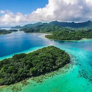 B & Bee Wild Island - Nature Song French Polynesia